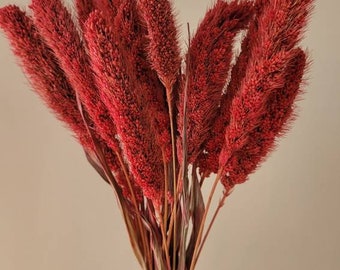 Wine Dried Setaria Grass: Natural Floral Bouquet (17-18 inch)