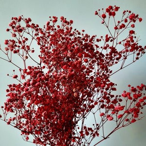 May include: A bouquet of dried baby's breath flowers in a vibrant red color. The flowers are arranged in a cluster, with delicate stems and small, round blooms.