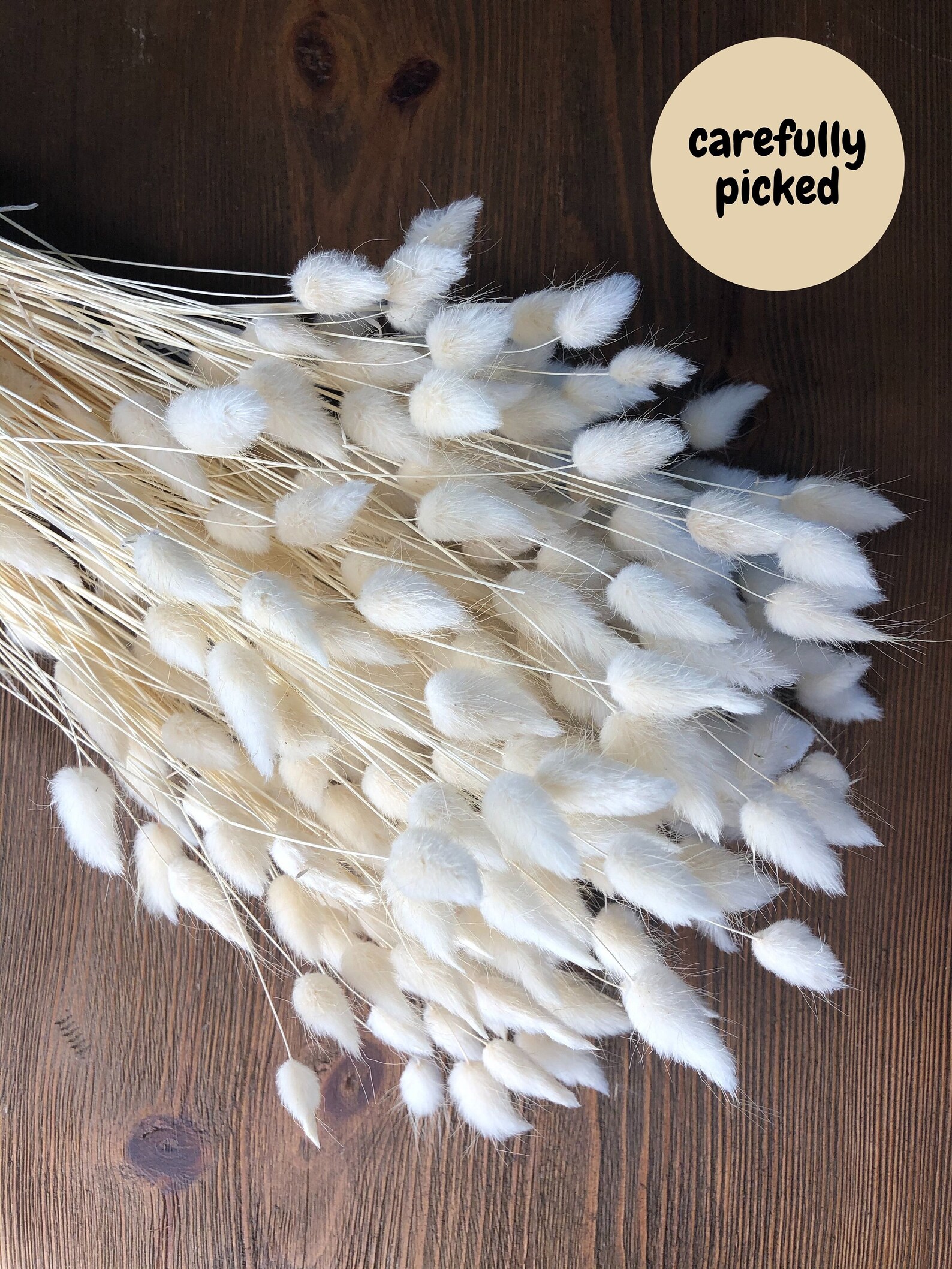 Dried Bunny Tails Bleached 200 Pcs Dried Pampas Grass Rabbit Etsy