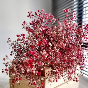 Baby&#39;s Breath, Gypsophila Preserved Red Color, Dried Flowers, Dried Plants, DIY Flower Arrangements, Red Babys Breath