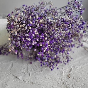 Baby's Breath, Gypsophila Preserved Purple Color, Dried Flowers, Dried Plants, DIY Flower Arrangements, Purple Babys Breath image 4