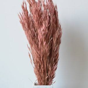 Dried Plume Bunch Bulk, 5 Bunches, Pink Brown, Oat Bunch, Dried Flowers Bouquet, Boho Home Decor, Filler Grass Dried Flower
