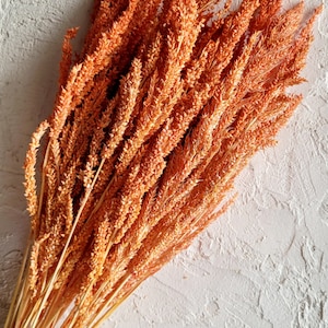 Dried Grass, Orange Dried Flowers, Wedding flowers, Natural Real Flowers, Orange Dried Flower