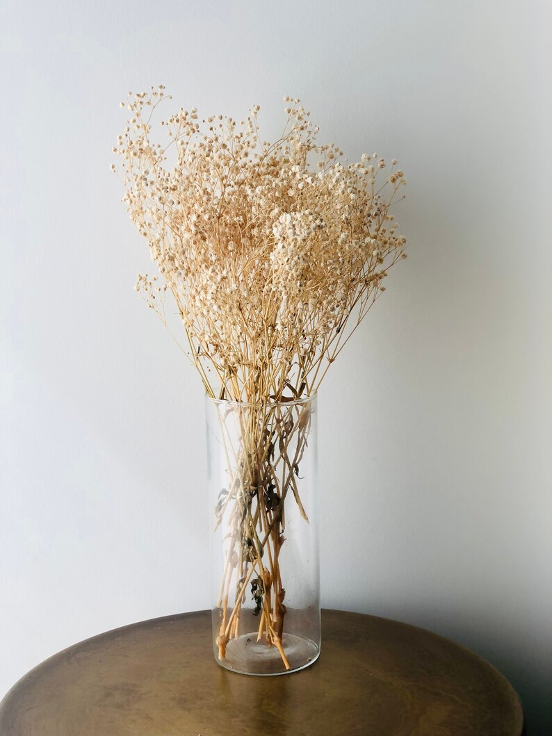 May include: A clear glass vase filled with dried white baby's breath flowers on a brown wooden table.