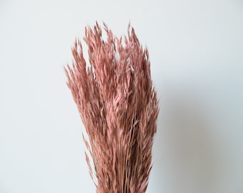 Dried Plume Grass Bunch: Pink Brown Oat Bouquet, DIY Flower Arrangement