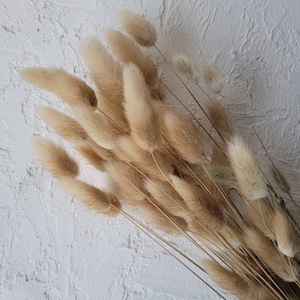 Natural Dried Bunny Tails: Boho Wedding Flower Arrangement
