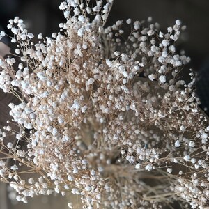May include: A bouquet of dried baby's breath flowers with delicate white blooms and thin stems.