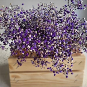 Baby's Breath, Gypsophila Preserved Purple Color, Dried Flowers, Dried Plants, DIY Flower Arrangements, Purple Babys Breath image 2