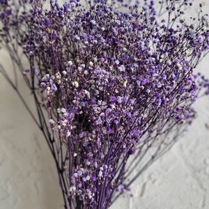 Baby's Breath, Gypsophila Preserved Purple Color, Dried Flowers, Dried Plants, DIY Flower Arrangements, Purple Babys Breath image 3