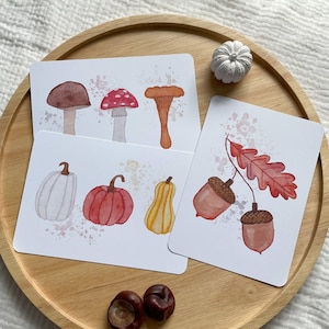 Karten Set Herbst | 3er Set | Herbstliche Postkarte | Aquarell Postkartenset | Kürbis Eichel Pilze