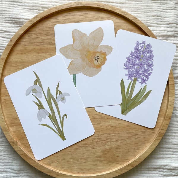 Karten Set Frühling | Frühblüher | Postkarten Set Ostern | Aquarell