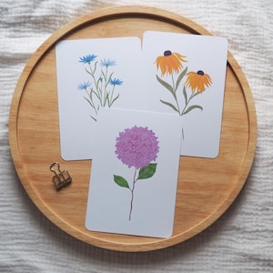 Karten Set Blumen Garten | 3er Set | Sommer Postkarte | Garten Postkartenset