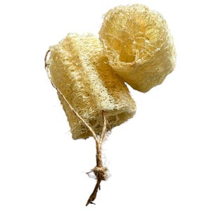 May include: Two natural loofah sponges tied together with twine. The loofahs are light brown and have a rough texture.