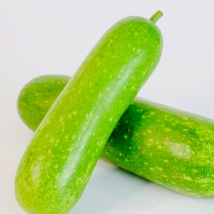 Organic Winter Melon Seeds, Non GMO Wax Gourd Seeds, Winter Melon Seeds, White Gourd Seeds, Winter Gourd Seeds, Benincasa Hispida Seeds