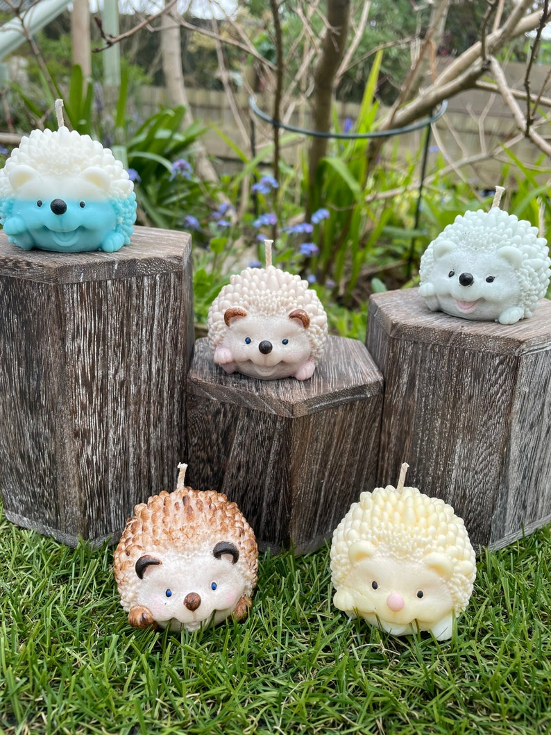 Hedgehog Gifts