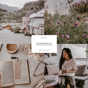Lightroom Preset Mobile - Rosefinch