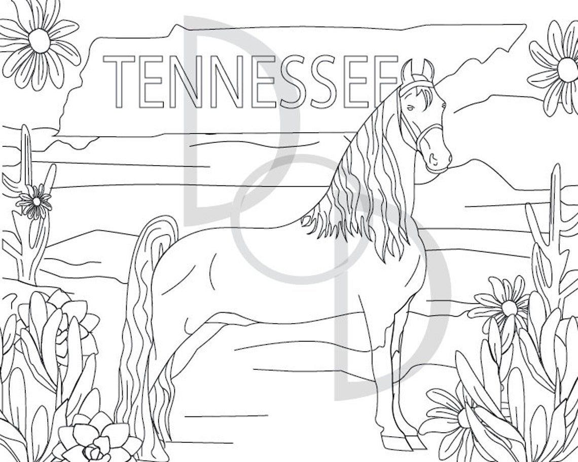 Tennessee Walking Horse Coloring Page Coloring Pages