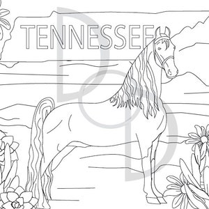 Tennesse Walking Horse Coloring Sheet - Digital Download/Printable