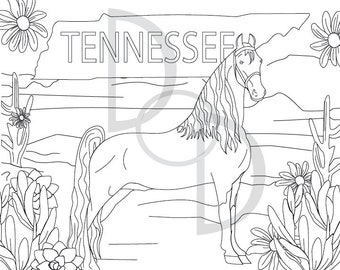 Tennesse Walking Horse Coloring Sheet - Digital Download/Printable