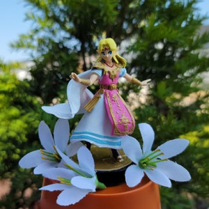 Custom Smash Ultimate Zelda biimbo