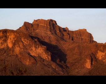 Superstition Mountain Cougar- Arizona