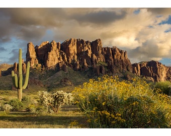 Endless Palate of Color on the Superstition Mountains of Arizona