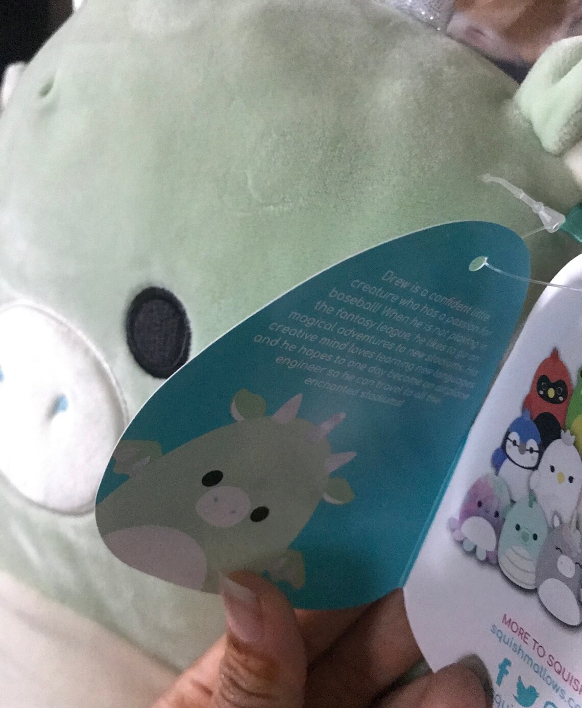 12 inch Drew the Dragon Squishmallow Drew Squishmallow | Etsy