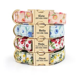 May include: A stack of four dog collars with gold-colored buckles. Each collar features a different fruit pattern: peaches, blueberries, cherries, and lemons. The buckles are engraved with names and phone numbers.
