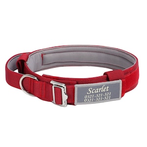 May include: Red dog collar with a silver buckle and a gray name tag that reads "Scarlet 0321-321-321 0321-321-321".