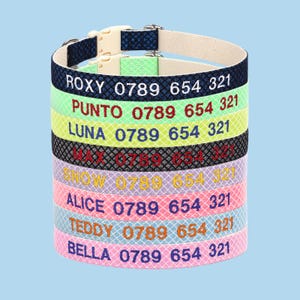Reflective Glitter Personalized Dog Collar: Embroidered Cotton Pet ID