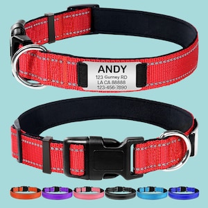 May include: Red dog collar with a black buckle and a silver metal tag that says "ANDY 123 Gurney RD LA CA 88888 123-456-7890". The collar is shown in different colors in the bottom row.