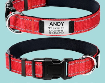 Personalized Reflective Nylon Dog Collar: Engraved Name Plate ID