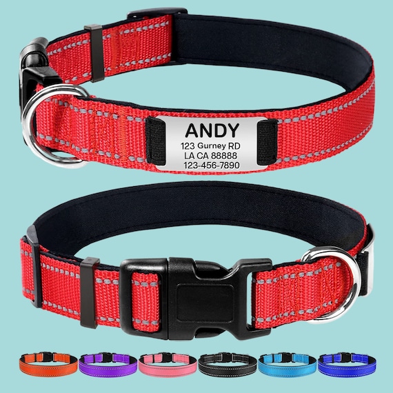 Reflektierendes Hundehalsband Aus Nylon – Verstellbar Mit Schnellverschluss | Wasserfest & Robust Für Mittelgroße Hunde