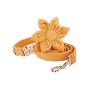 Yellow Velvet Dog Collar Leash Set With Flower, Cute Personalized Dog Collars, Engraved Dog Name Metal Buckle, Wedding Dog Gift