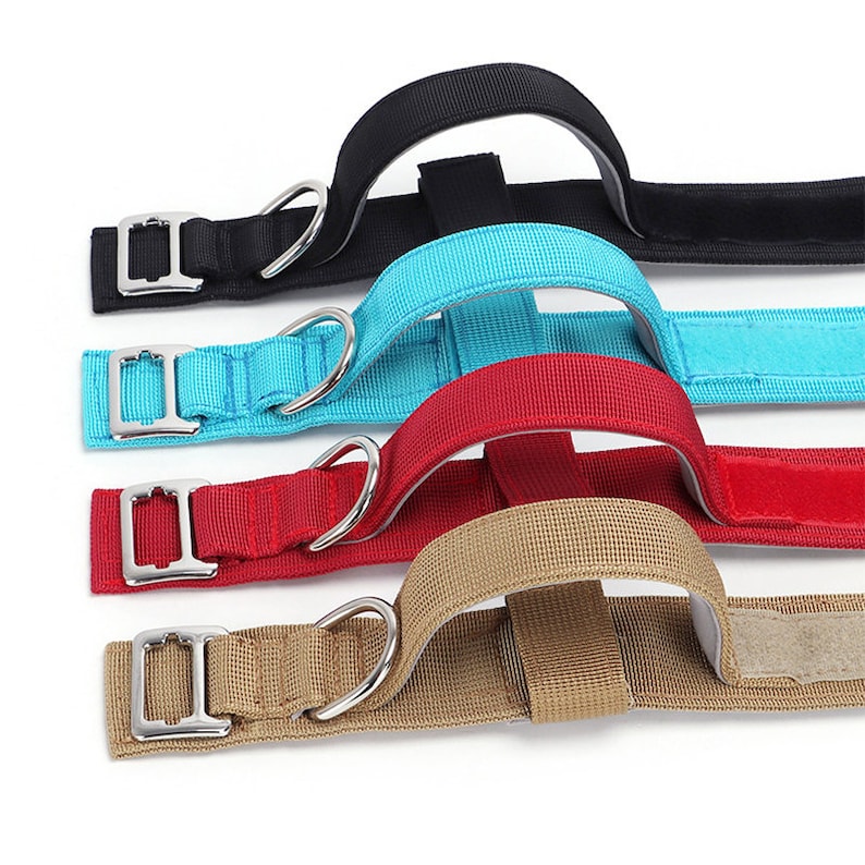 May include: Four dog collars in different colors: black, turquoise, red, and beige. Each collar has a silver buckle and a silver D-ring. The collars are made of a soft, durable material.