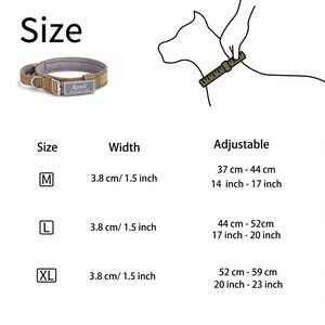 May include: A size chart for a dog collar, showing the width and adjustable length of the collar in both inches and centimeters. The collar is brown with a silver buckle and a name tag that says "Randi".