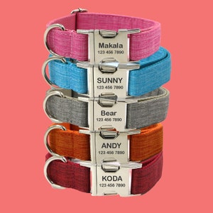 Personalized Dog Collar Set: Engraved Name, Bow Tie, Leash