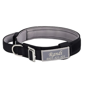 May include: Black dog collar with a gray padded lining and a silver buckle. The collar has a silver D-ring and a gray patch with the name "Randi" and the phone number "0321-321-321" printed in gold.