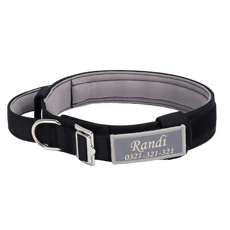 May include: Black dog collar with a gray padded lining and a silver buckle. The collar has a silver D-ring and a gray patch with the name "Randi" and the phone number "0321-321-321" printed in gold.