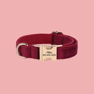 a red collar with a gold buckle on it