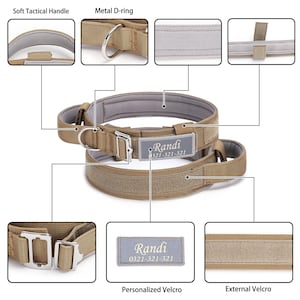 May include: A tan tactical dog collar with a metal D-ring, soft handle, and velcro closure. The collar has a personalized velcro patch with the name "Randi" and phone number "0321-321-321".