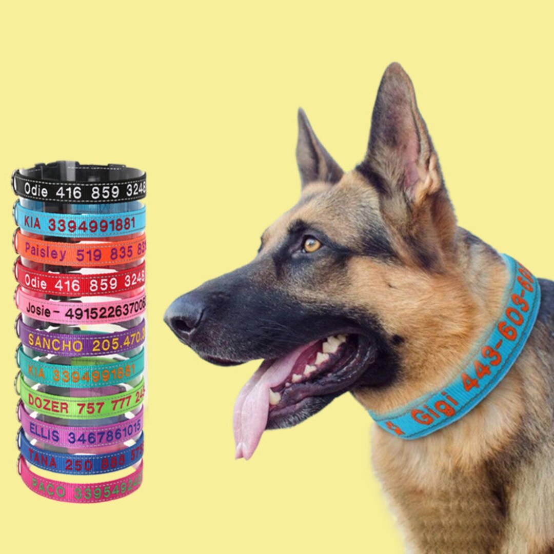 Reflective Personalized Dog Collar, Custom Puppy ID Collars, Nylon Name