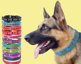 Reflective Personalized Dog Collar: Custom Embroidered Nylon Puppy ID