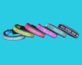 Reflective Padded Dog Collar: Personalized Embroidered Pet ID
