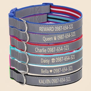 Reflective Personalized Dog Collar: Custom Engraved ID, Quick Release