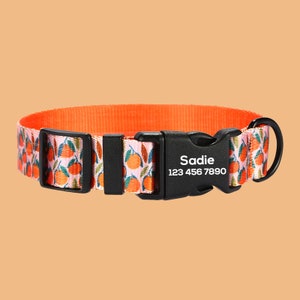 May include: Orange and white patterned dog collar with a black buckle and a black metal D-ring. The collar has the name "Sadie" and the phone number "123 456 7890" printed on it.