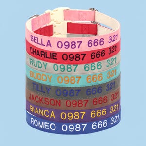 Personalized Nylon Dog Collar: Custom Embroidered Name & Number