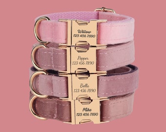 Velvet Personalized Dog Collar Leash Set, Pink+Purple, Engraved Pet Name Metal Buckle, Wedding Dog Gift, Custom Puppy Collar