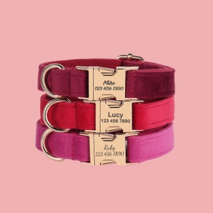 Samt Personalisiertes Hundehalsband Leinen-Set, Rot Pink Dunkelrot, Haustier Name Metallschnalle, Hochzeit Hundegeschenk, Individuelles Welpen Halsband Bild 1