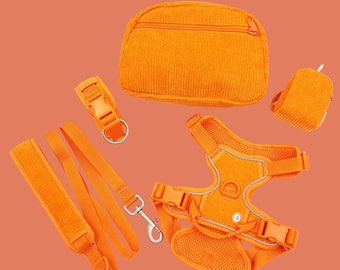 Soft Padded Nylon Velvet Personalized Dog Collars, Quick Release Plastic Buckle - Leash, Poop Bag Holder, No Pull Harness & Walking Bag
